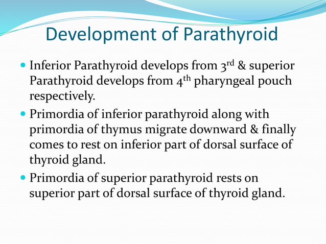 Surgical anatomy and physiology of thyroid and parathyroid | PPTX ...