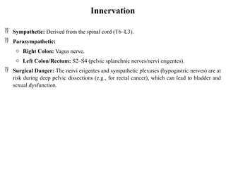 Comprehensive Surgical Anatomy of the Colon: Embryology, Vascular, and ...