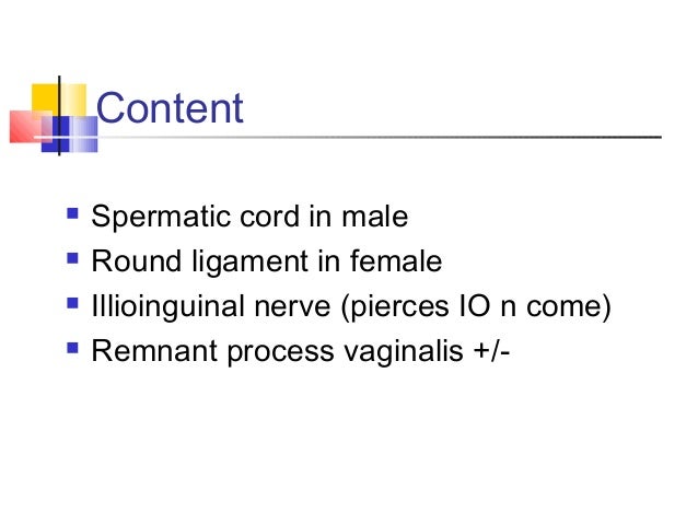 surgical anatomy inguinal canal dr mnr io n
