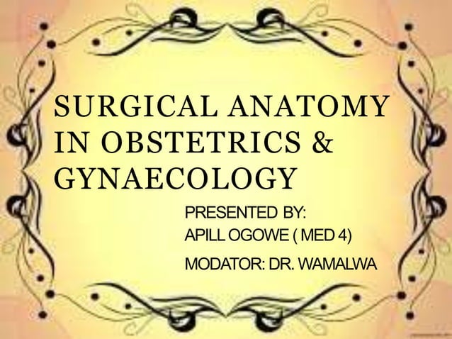 Surgical anatomy in obs & gyn | PPTX | Pregnancy | Reproductive Health