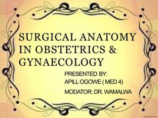 SURGICAL ANATOMY
IN OBSTETRICS &
GYNAECOLOGY
PRESENTED BY:
APILLOGOWE ( MED 4)
MODATOR: DR. WAMALWA
 