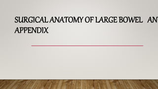 SURGICAL ANATOMY OF LARGE BOWEL AND
APPENDIX
 