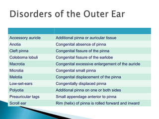 Ear Rim Rolled Comprehensive Anatomy and Clinical Insights of the Human Ear | PPT