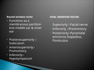 Comprehensive Anatomy and Clinical Insights of the Human Ear | PPT