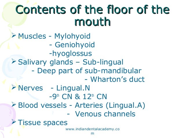 Surgical Anatomy Of Floor Of Mouth Certified