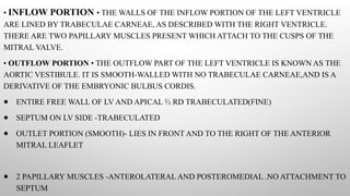 Cardiac Inflow SURGICAL ANATOMY OF HEART-CHAMBER/VALVE/CORONARY/CONDUCTION SYSTEM.pptx
