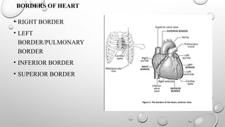 SURGICAL ANATOMY OF HEART-CHAMBER/VALVE/CORONARY/CONDUCTION SYSTEM.pptx