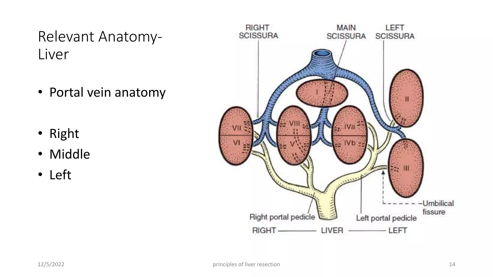 Surgical anatomy of Liver, Pancreas, Biliary tree and Principle of ...