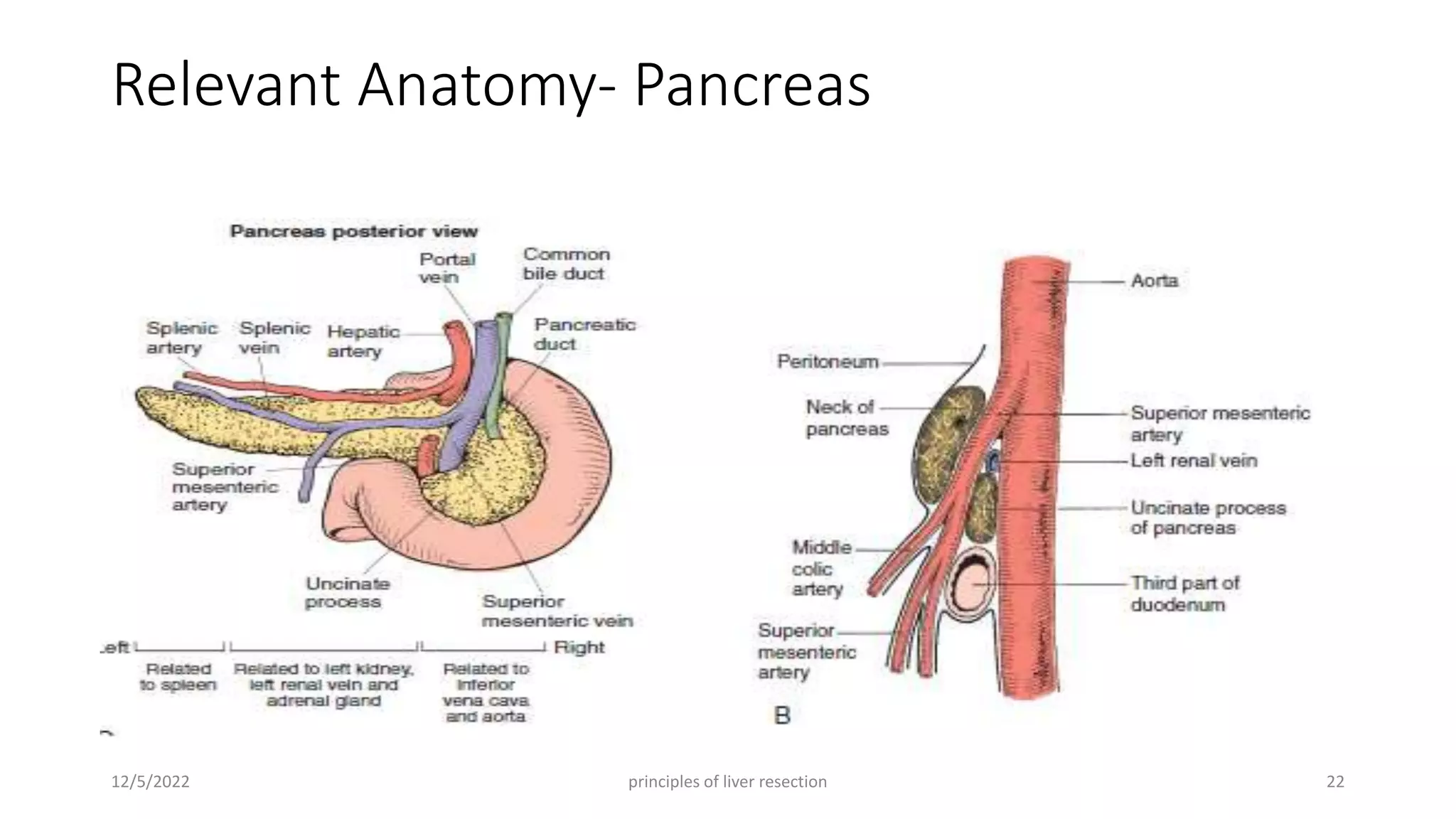 Surgical anatomy of Liver, Pancreas, Biliary tree and Principle of ...