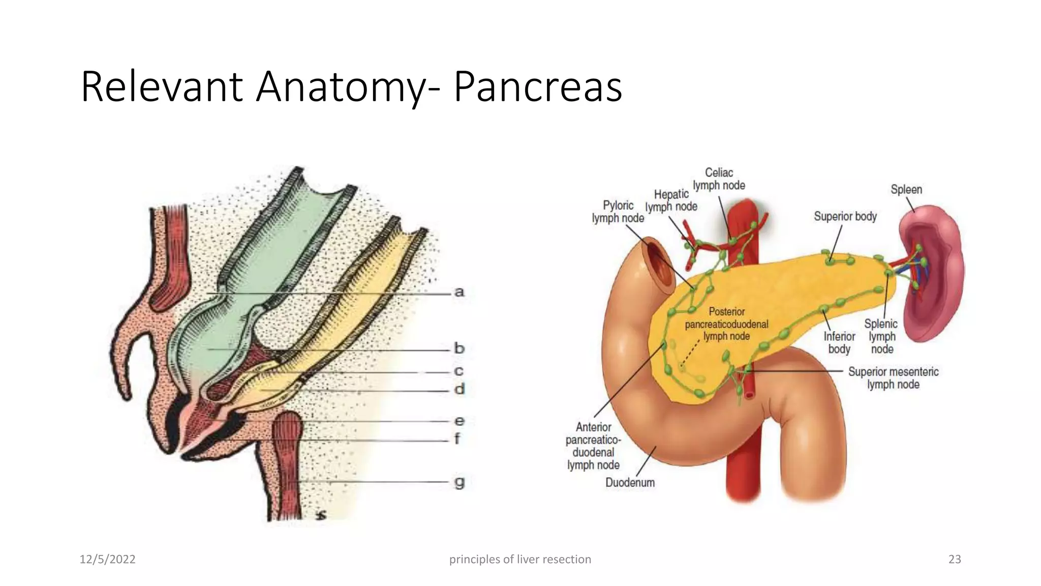 Surgical anatomy of Liver, Pancreas, Biliary tree and Principle of ...