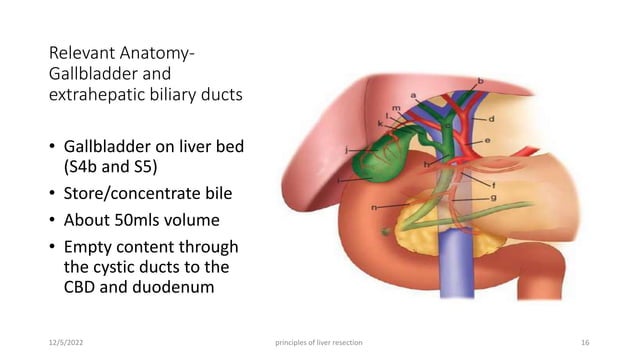 Surgical anatomy of Liver, Pancreas, Biliary tree and Principle of ...
