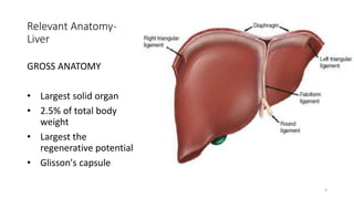 Glisson Surgical anatomy of Liver, Pancreas, Biliary tree and Principle of ...