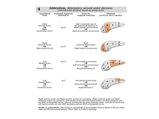 Surgical anatomy of liver | PPTX