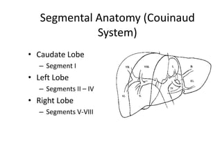 Surgical anatomy of liver | PPTX