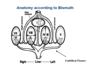 Surgical anatomy of liver | PPTX