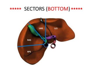 Llsb Surgical anatomy of liver | PPTX