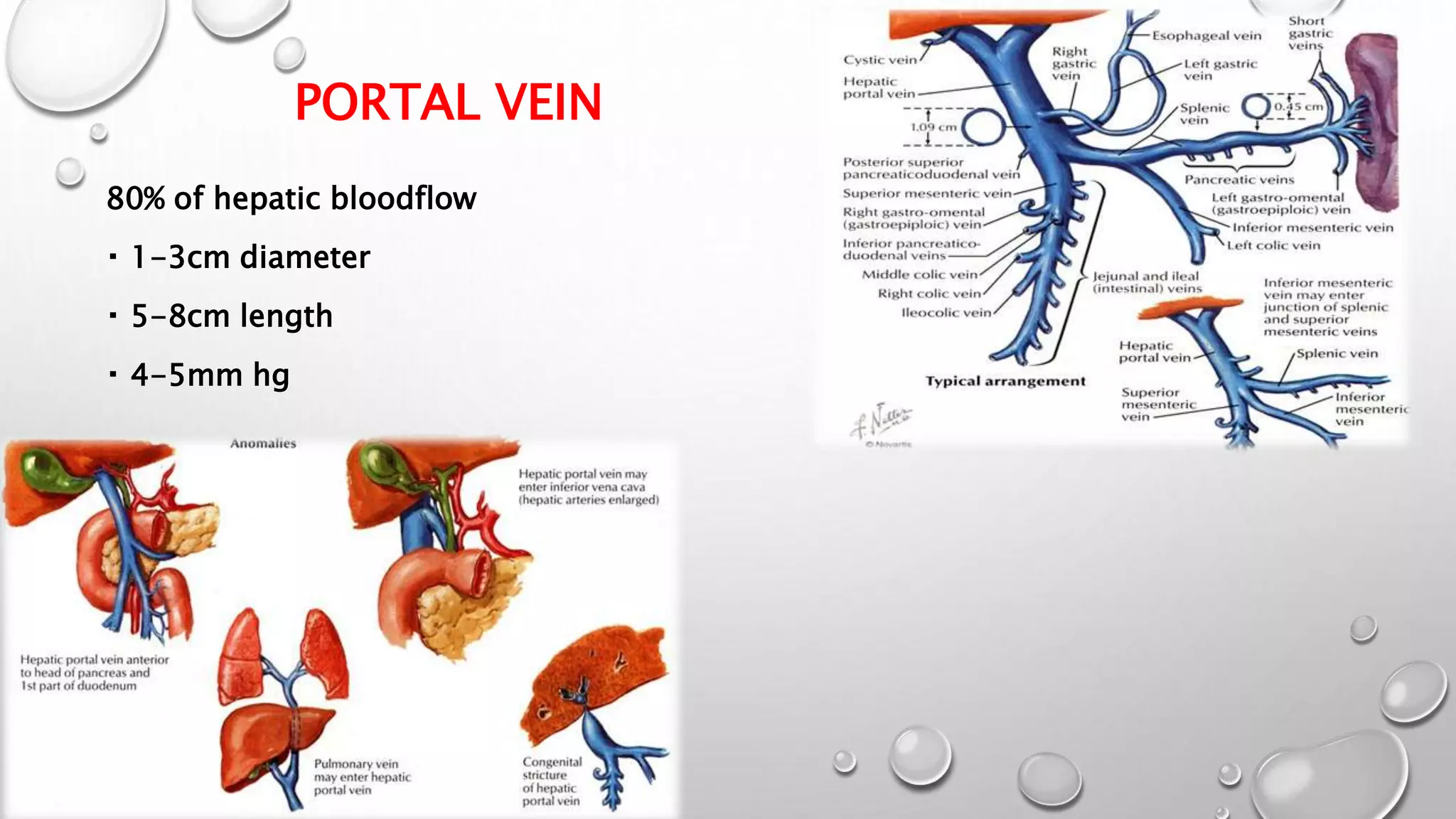 Surgical anatomy of liver | PPTX