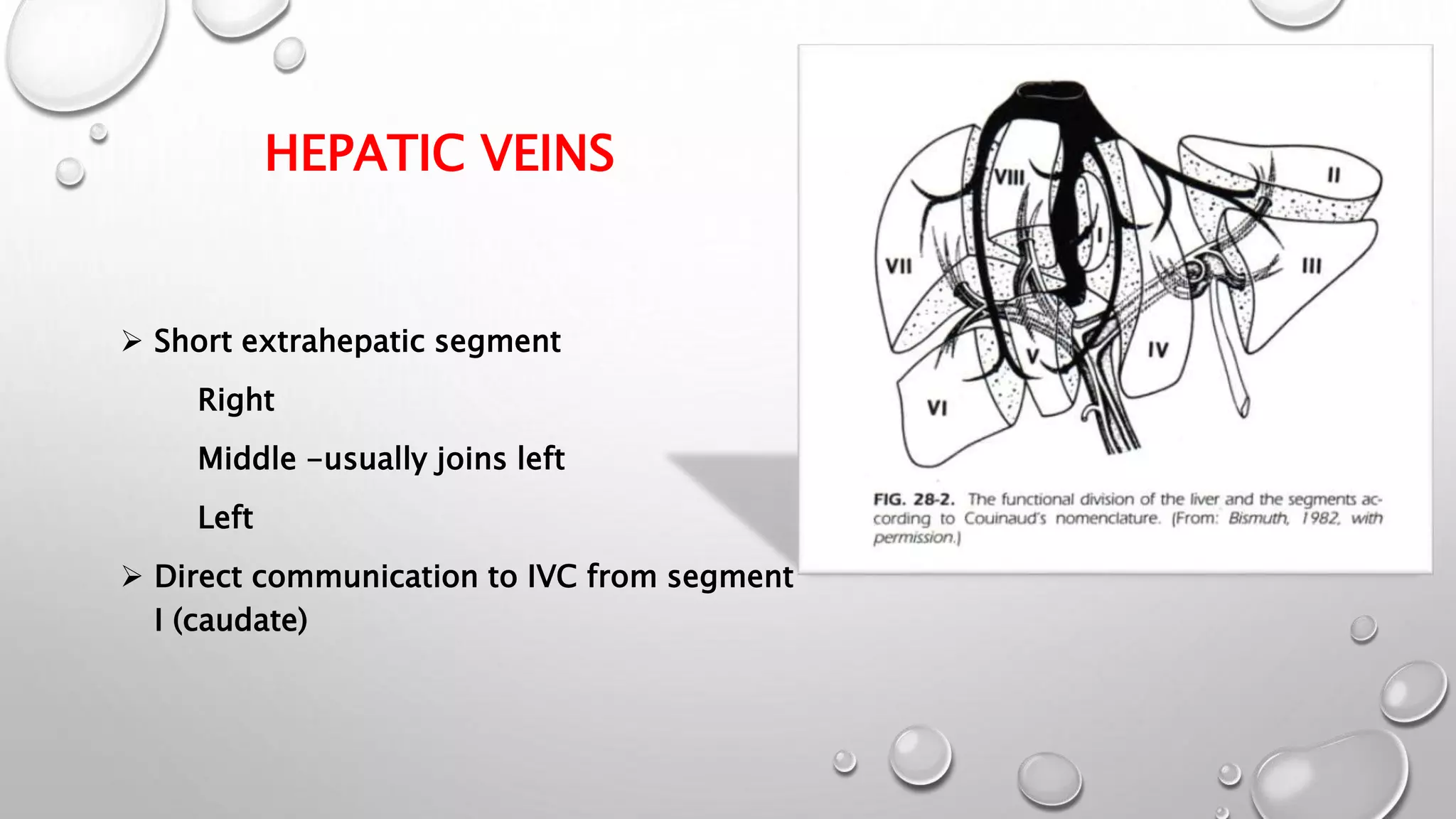 Surgical anatomy of liver | PPTX