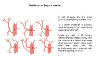 Surgical anatomy of liver.dr quiyum | PPTX