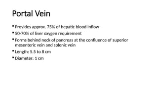Surgical Anatomy of Liver in detail for undergraduate | PPTX