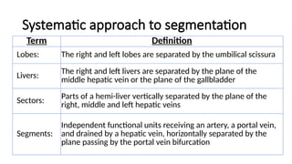 Surgical Anatomy of Liver in detail for undergraduate | PPTX