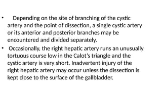 surgical anatomy of liver.pptx....... mmm | PPTX