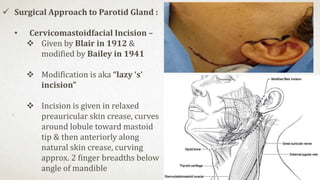 Parotid Incision Types Surgical anatomy of major salivary glands | PPTX