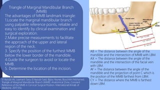 surgicalanatomyofmandible-190510072105 (1).pptx