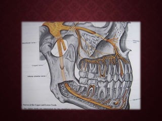 Mandule SURGICAL ANATOMY OF MANDIBLE.pptx