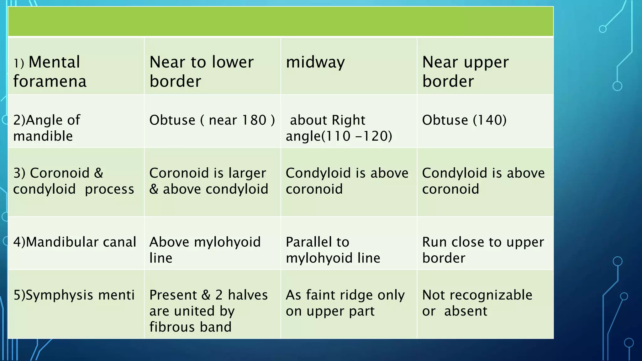 1) Mental
foramena
Near to lower
border
midway Near upper
border
2)Angle of
mandible
Obtuse ( near 180 ) about Right
angle(110 -120)
Obtuse (140)
3) Coronoid &
condyloid process
Coronoid is larger
& above condyloid
Condyloid is above
coronoid
Condyloid is above
coronoid
4)Mandibular canal Above mylohyoid
line
Parallel to
mylohyoid line
Run close to upper
border
5)Symphysis menti Present & 2 halves
are united by
fibrous band
As faint ridge only
on upper part
Not recognizable
or absent
 