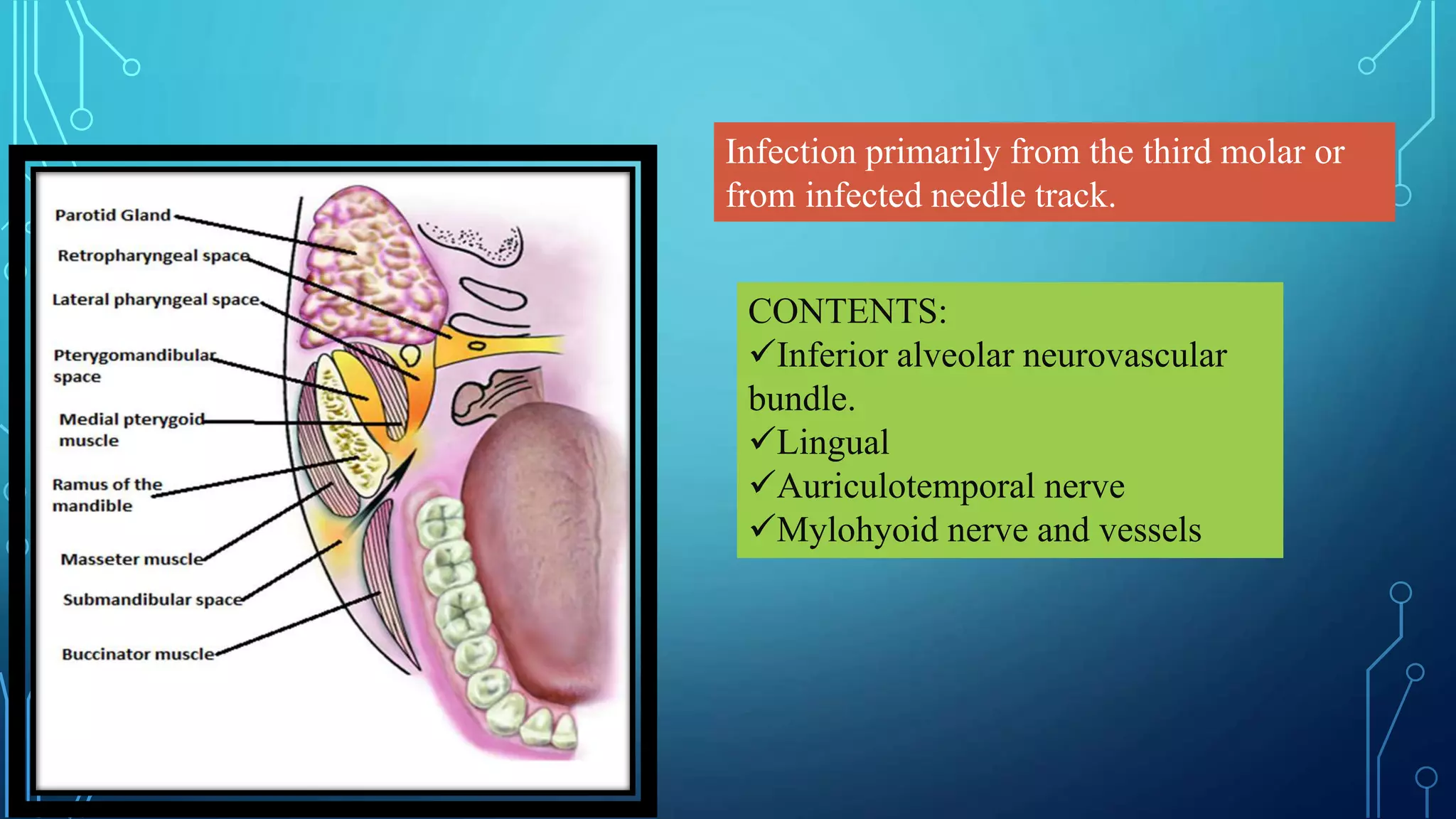 Infection primarily from the third molar or
from infected needle track.
CONTENTS:
Inferior alveolar neurovascular
bundle.
Lingual
Auriculotemporal nerve
Mylohyoid nerve and vessels
 
