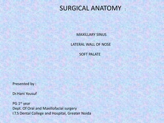 SURGICAL ANATOMY :
MAXILLARY SINUS
LATERAL WALL OF NOSE
SOFT PALATE
Presented by :
Dr.Hani Yousuf
PG 1st year
Dept. Of Oral and Maxillofacial surgery
I.T.S Dental College and Hospital, Greater Noida
 