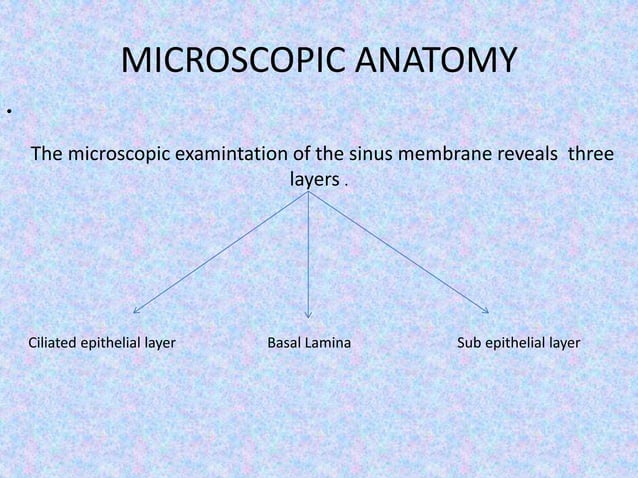 Surgical anatomy of Maxillary Sinus , Lateral wall of nose and Soft ...