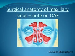 Surgical anatomy of maxillary
     sinus – note on OAF




                  - Dr. Dona Bhattacharya
 