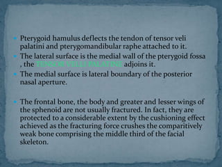 SURGICAL ANATOMY OF MID FACE.pptx