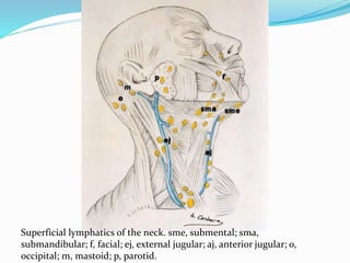 Surgical anatomy of neck | PPTX