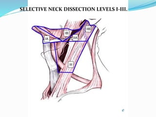 Surgical anatomy of neck | PPTX