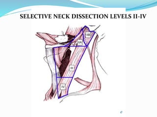 Surgical anatomy of neck | PPTX