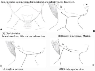Surgical anatomy of neck | PPTX
