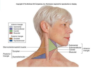 Deep lymphatics of the neck. IJ, internal jugular chain; SA,
spinal accessory chain; TC, transverse cervical chain; dn,
De...