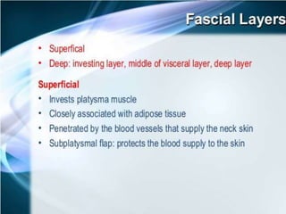 Deep Cervical Fascia
 