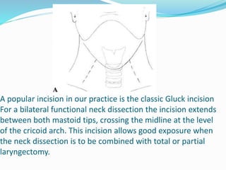 Surgical anatomy of neck