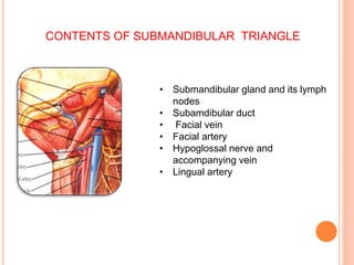 CONTENTS OF SUBMANDIBULAR TRIANGLE
• Submandibular gland and its lymph
nodes
• Subamdibular duct
• Facial vein
• Facial ar...