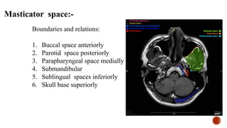 Submasseter Space surgical anatomy of neck in depth .pptx
