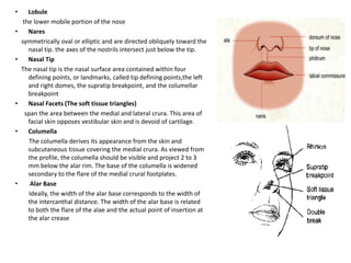 • Lobule
the lower mobile portion of the nose
• Nares
symmetrically oval or elliptic and are directed obliquely toward the
nasal tip. the axes of the nostrils intersect just below the tip.
• Nasal Tip
The nasal tip is the nasal surface area contained within four
defining points, or landmarks, called tip defining points,the left
and right domes, the supratip breakpoint, and the columellar
breakpoint
• Nasal Facets (The soft tissue triangles)
span the area between the medial and lateral crura. This area of
facial skin opposes vestibular skin and is devoid of cartilage.
• Columella
The columella derives its appearance from the skin and
subcutaneous tissue covering the medial crura. As viewed from
the profile, the columella should be visible and project 2 to 3
mm below the alar rim. The base of the columella is widened
secondary to the flare of the medial crural footplates.
• Alar Base
Ideally, the width of the alar base corresponds to the width of
the intercanthal distance. The width of the alar base is related
to both the flare of the alae and the actual point of insertion at
the alar crease
 