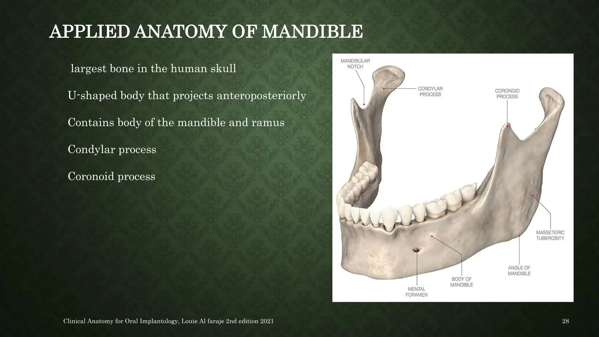 SURGICAL ANATOMY OF ORAL IMPLANTOLOGY.pptx