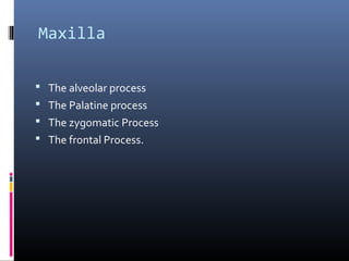 Maxilla
 The alveolar process
 The Palatine process
 The zygomatic Process
 The frontal Process.
 