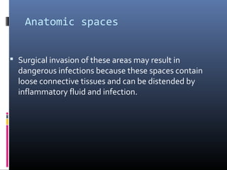 Anatomic spaces
 Surgical invasion of these areas may result in
dangerous infections because these spaces contain
loose connective tissues and can be distended by
inflammatory fluid and infection.
 