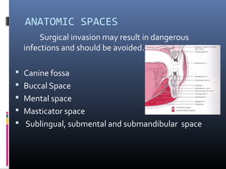 ANATOMIC SPACES
Surgical invasion may result in dangerous
infections and should be avoided.
 Canine fossa
 Buccal Space
 Mental space
 Masticator space
 Sublingual, submental and submandibular space
 