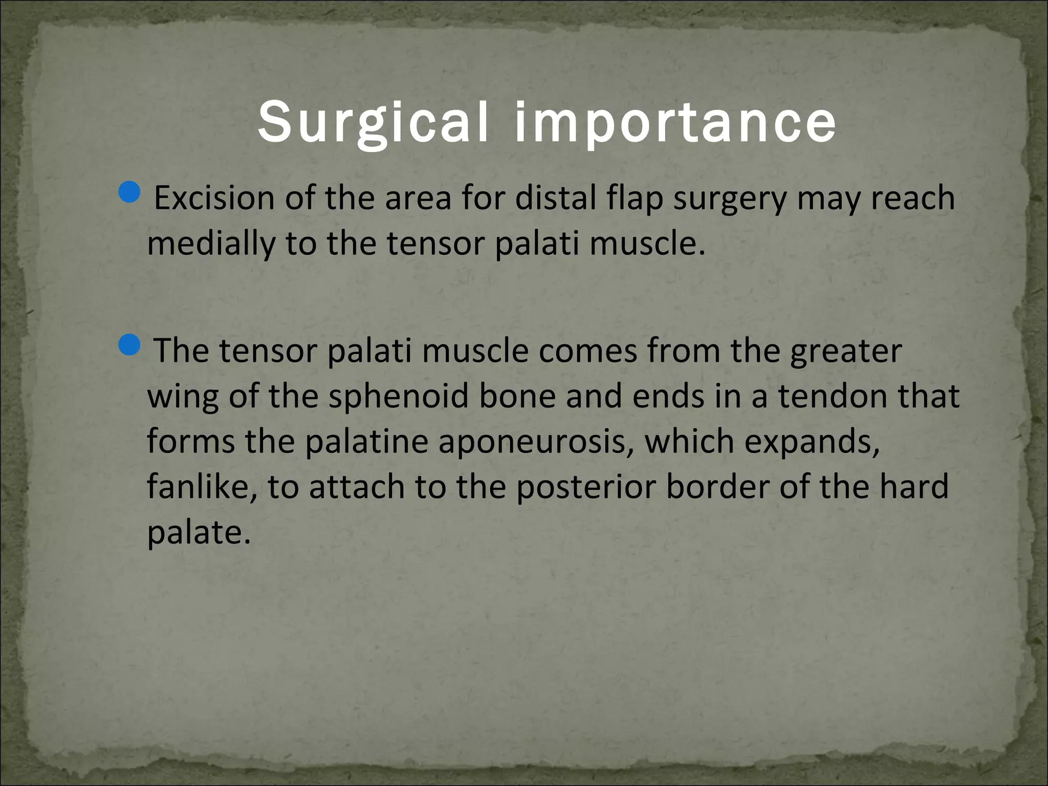 Surgical anatomy of periodontium and related structures | PPT